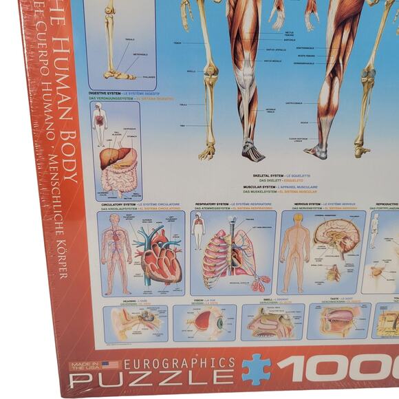 Eurographics The Human Body 1000-piece Puzzle New Sealed Educational - Picture 5 of 10